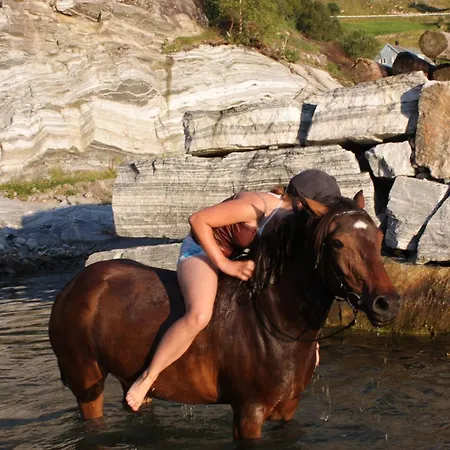 Feriehus Fjordhytte-16 Direkt Am Sognefjord In Bjordal, Mit Mietbaren 9,9 Ps Bis 60 Ps Motorbooten *