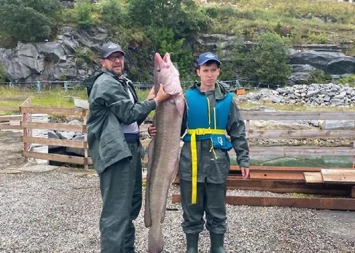Holiday home Fjordhytte-16 Direkt Am Sognefjord In Bjordal, Mit Mietbaren 9,9 Ps Bis 60 Ps Motorbooten Bjordal (Hoyanger)